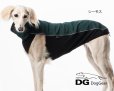 画像2: ”TOPシャツキャンペーン！"DG【Outdoor】SoftShell トップシャツ IG/WP