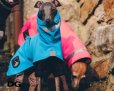 画像13: 【特別価格】 DG【Outdoor】SoftShell レインコート PLUS 旧モデル XS.S01.M01
