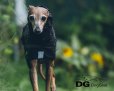 画像8: "レインコートキャンペーン"DG【Basic】レインコートSoftShell Light メッシュ裏地付