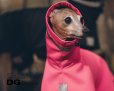 画像7: ”レインコートキャンペーン” DG【Outdoor】SoftShell レインコート PLUS  IG/WP