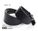 "Leather collar キャンペーン！" DG【シンプル】シンプルブラック S+