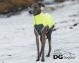 画像5: DG【Limited】JUMPER  IG/WP