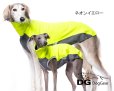 画像3: DG【Limited】JUMPER  IG/WP