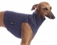 画像4: DG【 cotton PLUS 】シンプルプラス S01-L